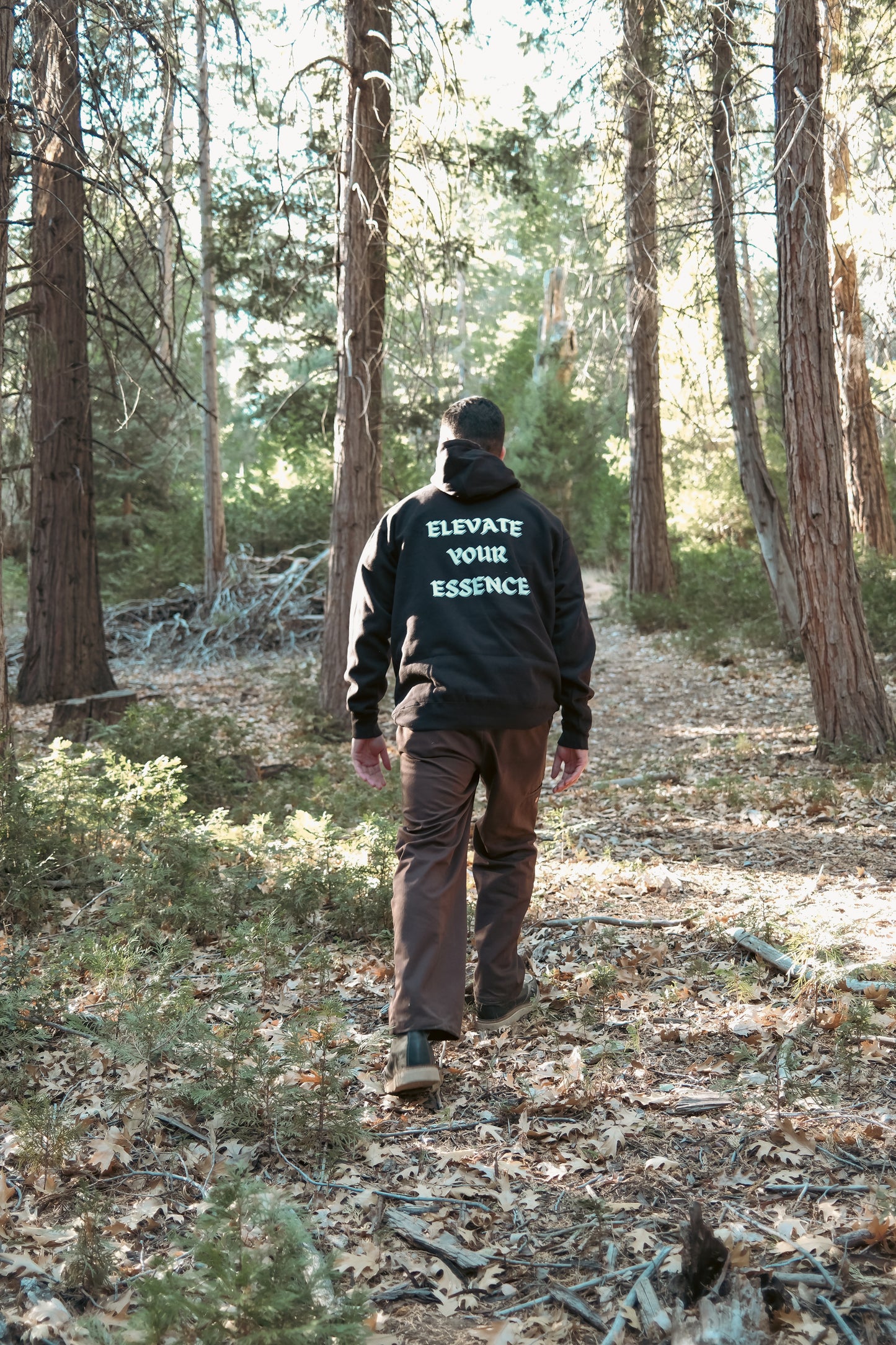 CELESTIALS STAPLE HOODIE