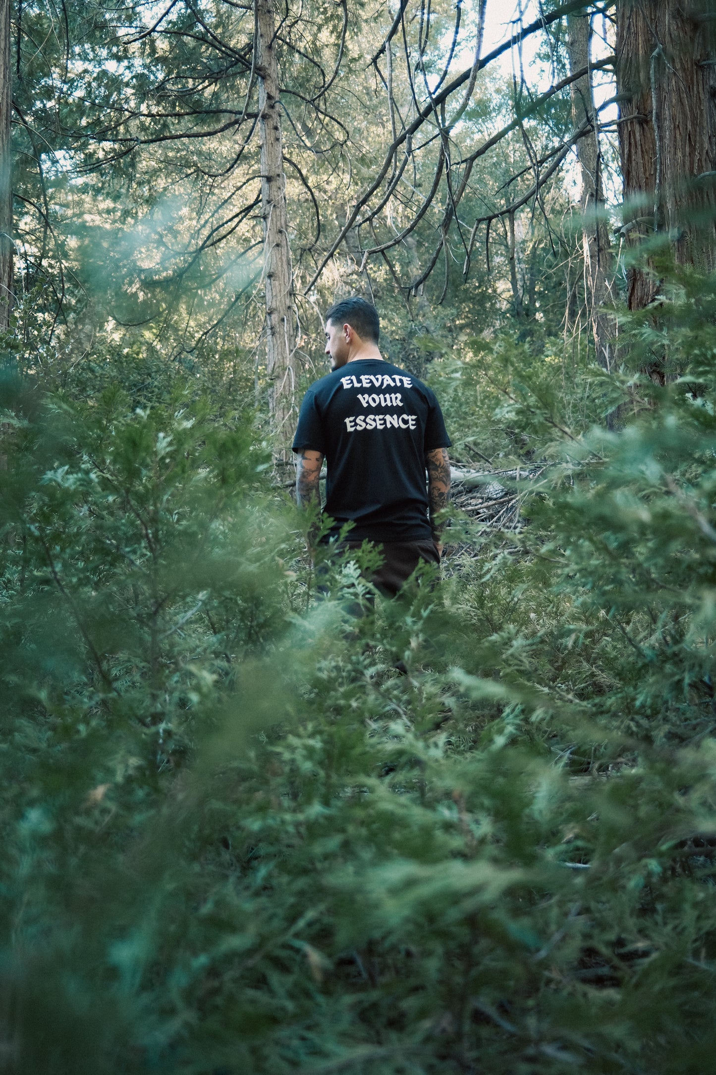 CELESTIALS STAPLE TEE