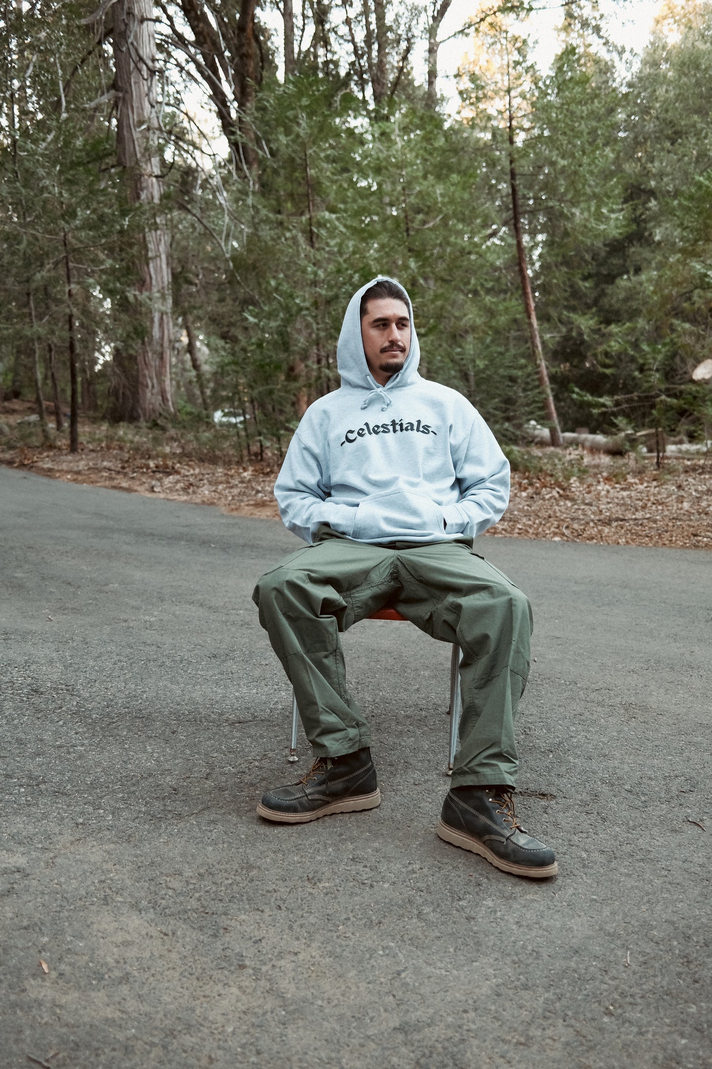 CELESTIALS STAPLE HOODIE