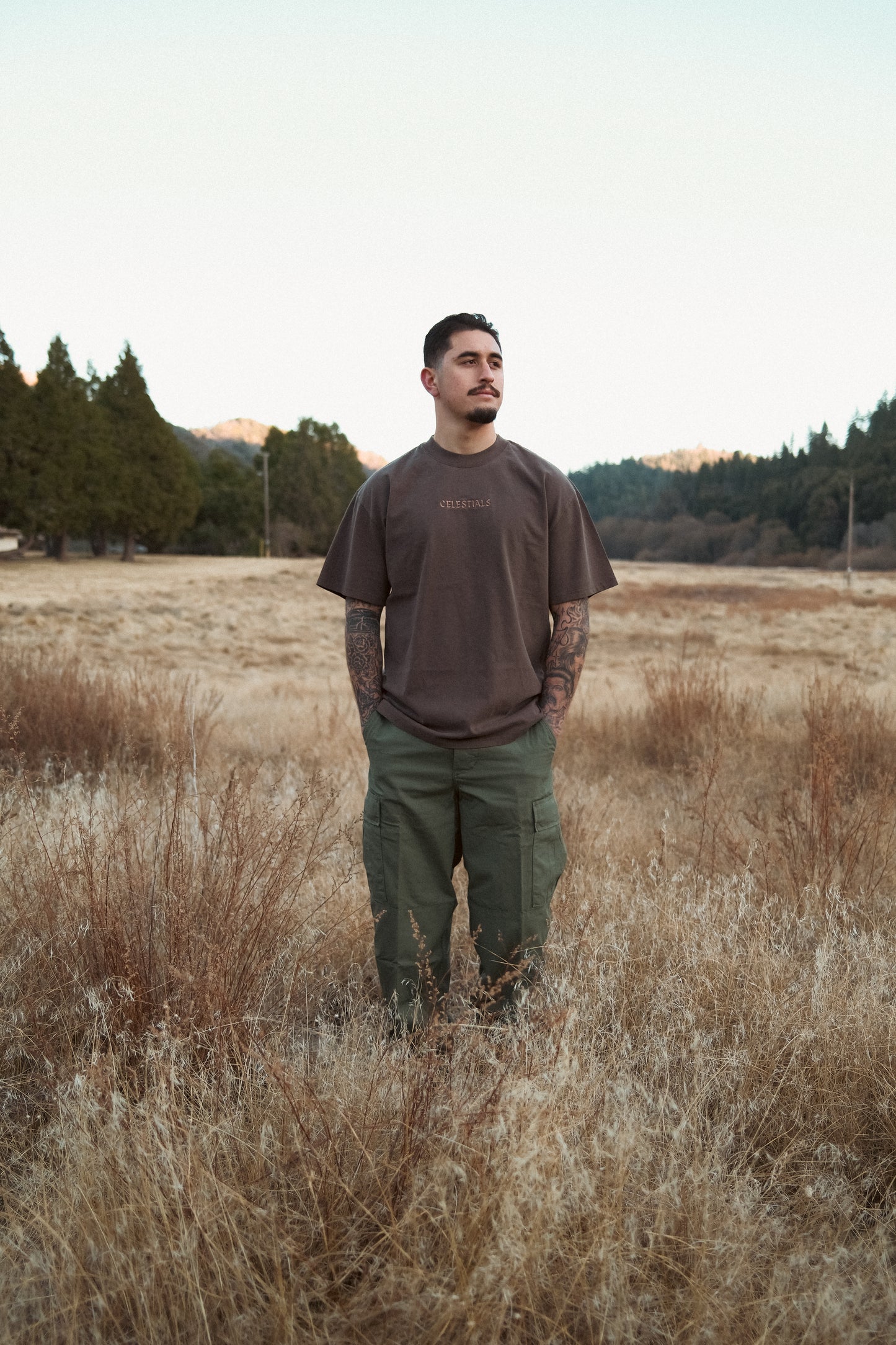 CELESTIALS Embroidered Tee Brown