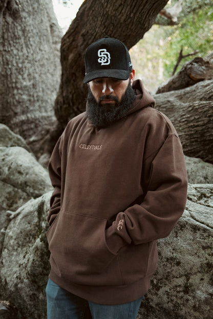 CELESTIALS Embroidered Hoodie Brown